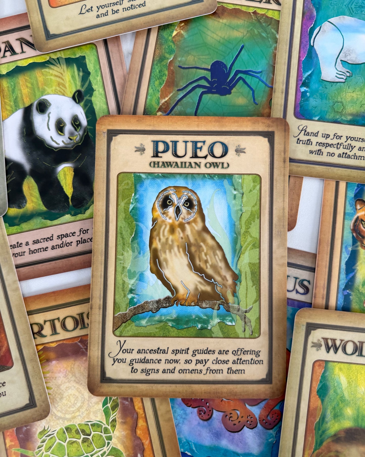 Messages from your Animal Spirit Guides Oracle Cards