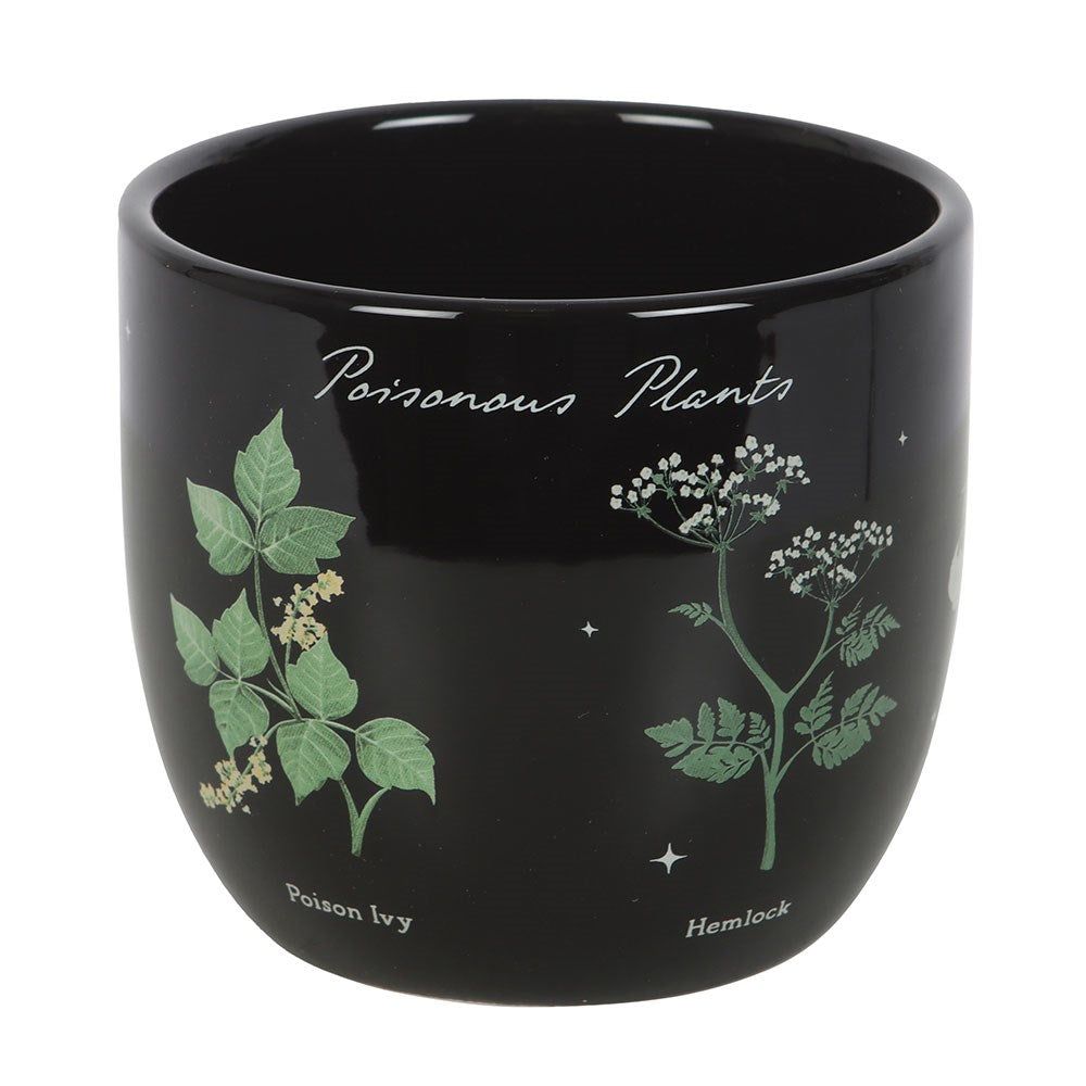 Poisonous Plants pyntepotte med skål