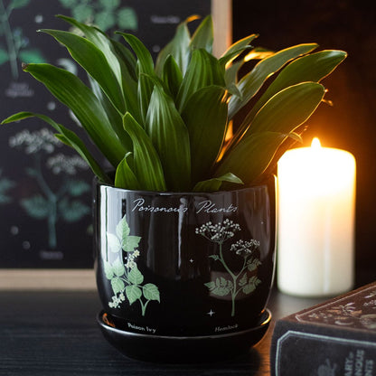 Poisonous Plants pyntepotte med skål