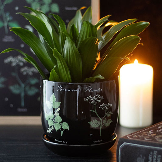 Poisonous Plants pyntepotte med skål