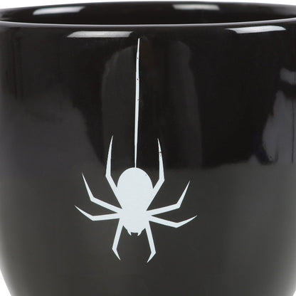 Spider kopp